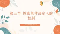 生物七年级下册（2024）第三节 性染色体决定人的性别试讲课ppt课件
