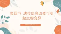 生物第四节 遗传信息改变可引起生物变异优质ppt课件