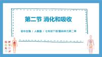 初中生物人教版（2024）七年级下册（2024）第二节 消化和吸收精品习题课件ppt