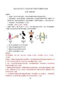 八年级生物开学摸底考（安徽专用）-2024-2025学年初中八年级下学期开学摸底考试卷.zip