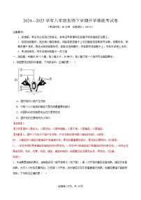 八年级生物开学摸底考（山东专用）-2024-2025学年初中八年级下学期开学摸底考试卷.zip