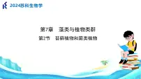 初中生物苏科版（2024）七年级下册（2024）第2节 苔藓植物与蕨类植物集体备课课件ppt