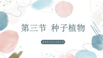 初中生物鲁科版 (五四制)2024六年级下册（2024）第三节 种子植物优秀ppt课件