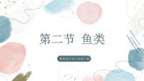 鲁科版 (五四制)2024六年级下册（2024）第二章 动物的主要类群第二节 鱼类精品ppt课件