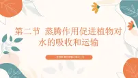 生物七年级下册（2024）第二节 蒸腾作用促进植物对水的吸收和运输备课课件ppt