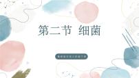 鲁科版 (五四制)2024六年级下册（2024）第二节 细菌优秀课件ppt