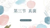 鲁科版 (五四制)2024六年级下册（2024）第三节 真菌完美版课件ppt