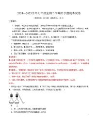 七年级生物开学摸底考（山东专用）-2024-2025学年初中下学期开学摸底考试卷.zip