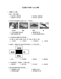 北京版（2024）八年级下册第六节 动物优秀精练