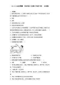 初中生物北京版（2024）八年级下册第四节 人与生物圈精品巩固练习