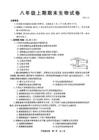 河南省新乡市辉县市2024-2025学年八年级上学期1月期末生物试题