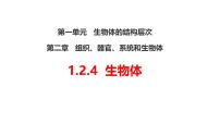 初中生物冀少版（2024）七年级上册（2024）第四节 生物体图文ppt课件