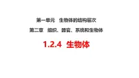初中生物冀少版（2024）七年级上册（2024）第四节 生物体图文ppt课件