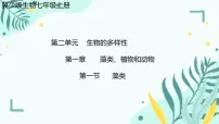 冀少版（2024）七年级上册（2024）第一节 藻类课前预习ppt课件