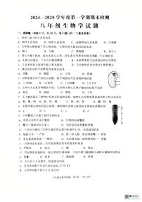 山东省济宁邹城市2024-2025学年八年级上学期期末生物试题