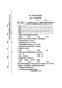 山东省泰安市泰山区2024-2025学年八年级上学期期末考试生物试卷