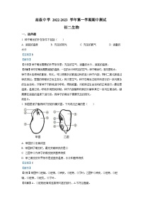深圳市高级中学2022-2023学年八年级上学期期中生物试题（含答案）