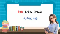 初中生物冀少版（2024）七年级下册（2024）第一节 消化系统的组成优秀ppt课件