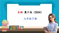 冀少版（2024）第二节 人体生命活动需要的营养物质完美版课件ppt