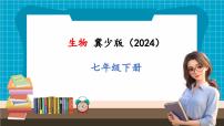 初中生物冀少版（2024）七年级下册（2024）第三单元 人体的结构与功能第二章 循环系统与物质运输第一节 血液循环系统的组成二、血管优秀ppt课件