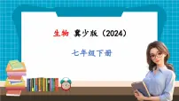 初中生物冀少版（2024）七年级下册（2024）第三单元 人体的结构与功能第三章 呼吸系统与气体交换第二节 呼吸的过程二、体内的气体交换优质课件ppt
