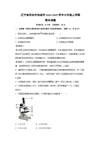 2024-2025学年辽宁省丹东市凤城市七年级上学期期末生物试卷（解析版）