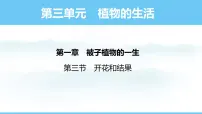 初中生物第三节 开花和结果课文配套ppt课件