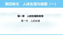 人教版（2024）七年级下册（2024）第一节 人的生殖示范课课件ppt