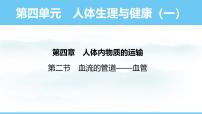 人教版（2024）第二节 血流的管道 —— 血管评课ppt课件