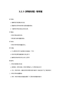 人教版（2024）七年级下册（2024）第三单元 植物的生活第二章 植物体内的物质与能量变化第三节 呼吸作用优质导学案及答案