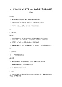 初中人教版（2024）第一节 呼吸道对空气的处理精品学案设计