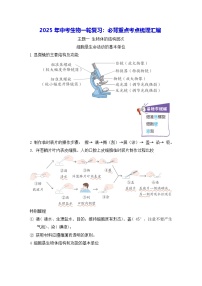 2025年中考生物一轮复习：必背重点考点梳理汇编 学案