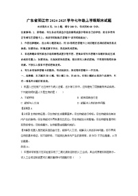 2024-2025学年广东省阳江市七年级上学期期末生物试卷（解析版）