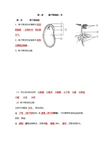 人教版初中生物七下3.1被子植物的一生   知识点速记清单（学生版+教师版）