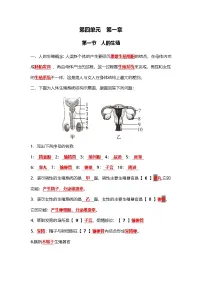 初中生物人教版（2024）七年级下册（2024）第一节 人的生殖优秀导学案