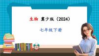 初中生物冀少版（2024）七年级下册（2024）第三单元 人体的结构与功能第五章 人体生命活动的调节第一节 神经系统的组成完整版ppt课件