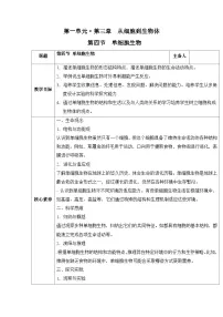 生物七年级上册（2024）第四节 单细胞生物教学设计及反思