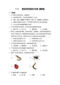 生物七年级上册（2024）第一节 尝试对生物进行分类同步测试题