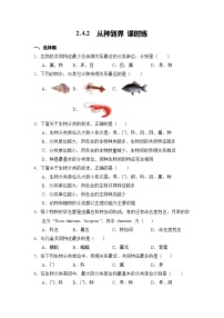 初中生物人教版（2024）七年级上册（2024）第二节 从种到界练习题