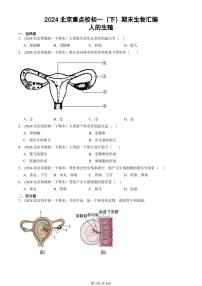 2024北京重点校初一（下）期末真题生物汇编：人的生殖