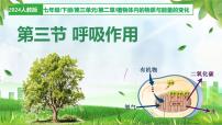 初中生物人教版（2024）七年级下册（2024）第三单元 植物的生活第二章 植物体内的物质与能量变化第三节 呼吸作用教案配套课件ppt