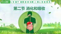 七年级下册（2024）第二节 消化和吸收说课ppt课件
