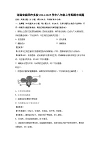 河南省南阳市多校2024-2025学年八年级上学期期末生物试卷（解析版）