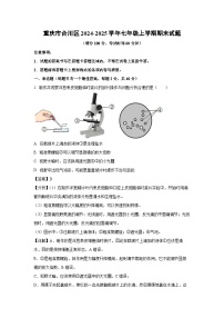 重庆市合川区2024-2025学年七年级上学期期末生物试卷（解析版）