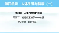 生物七年级下册（2024）第三节 输送血液的泵 —— 心脏教学演示ppt课件