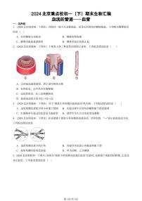 2024北京重点校初一（下）期末真题生物汇编：血流的管道──血管