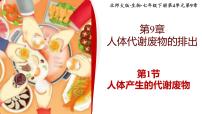 初中北师大版（2024）第4单元 人体的结构和生理第9章 人体代谢废物的排出第1节 人体产生的代谢废物优质课课件ppt