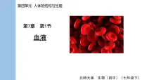 初中生物北师大版（2024）七年级下册（2024）第1节 血液背景图ppt课件
