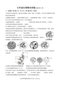 山东省菏泽市定陶区2024-2025学年七年级上学期期末考试生物试题