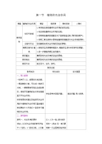 初中生物苏教版（2024）七年级下册（2024）第4单元 植物的生活第11章 植物的光合作用和呼吸作用第1节 植物的光合作用教案设计